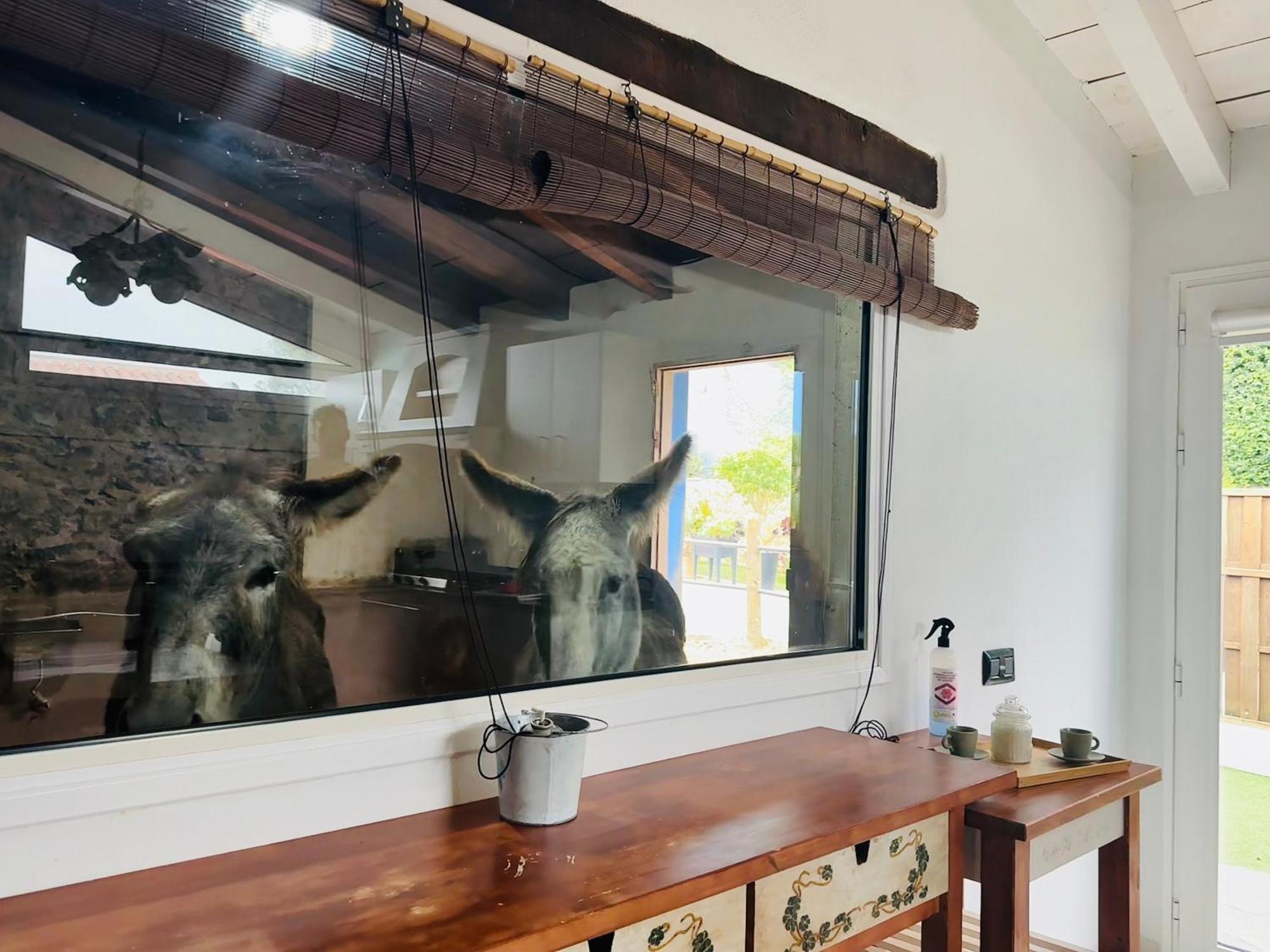 הוילה La Esperanza  Casa Antigua מראה חיצוני תמונה